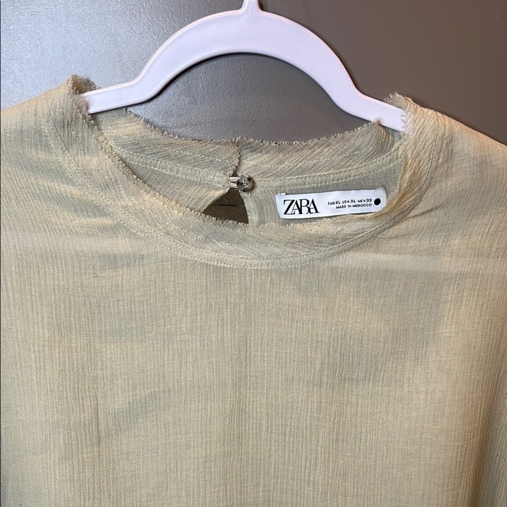 Zara Cream Long Sleeve Sheer Top - Picture 3 of 12